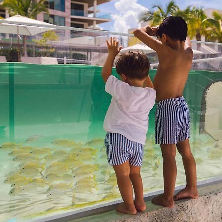 The St Regis Longboat Key Resort Zewnętrze zdjęcie